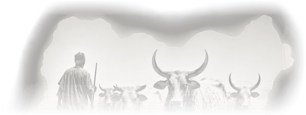 Pastoralist guiding cattle across Nigeria